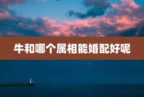 牛和哪个属相能婚配好呢