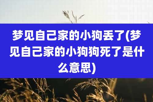 梦见自己家的小狗丢了(梦见自己家的小狗狗死了是什么意思)