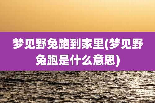 梦见野兔跑到家里(梦见野兔跑是什么意思)