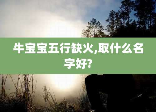 牛宝宝五行缺火,取什么名字好?