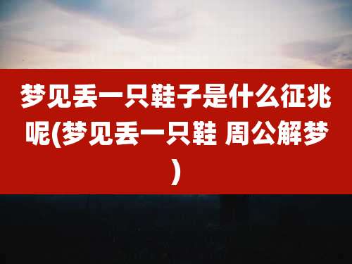梦见丢一只鞋子是什么征兆呢(梦见丢一只鞋 周公解梦)