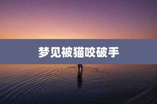 梦见被猫咬破手