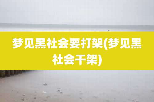 梦见黑社会要打架(梦见黑社会干架)