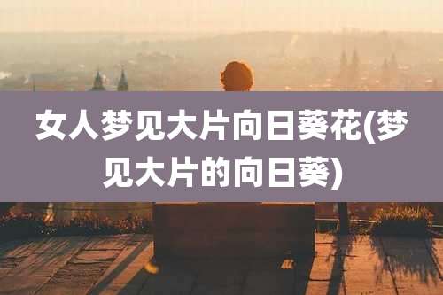 女人梦见大片向日葵花(梦见大片的向日葵)
