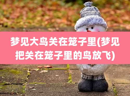 梦见大鸟关在笼子里(梦见把关在笼子里的鸟放飞)