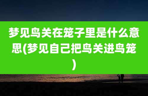 梦见鸟关在笼子里是什么意思(梦见自己把鸟关进鸟笼)