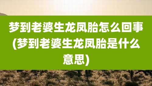 梦到老婆生龙凤胎怎么回事(梦到老婆生龙凤胎是什么意思)