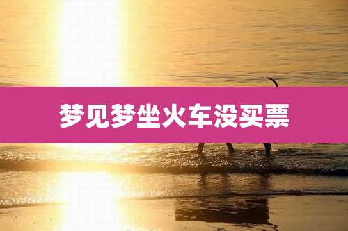 梦见梦坐火车没买票