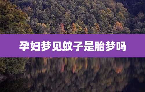 孕妇梦见蚊子是胎梦吗