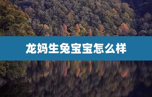 龙妈生兔宝宝怎么样