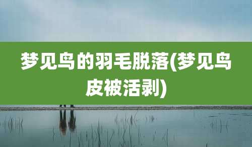 梦见鸟的羽毛脱落(梦见鸟皮被活剥)