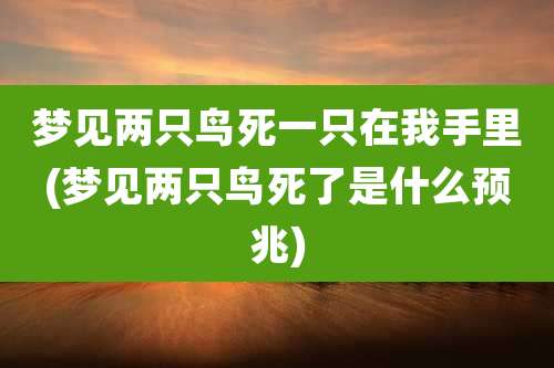 梦见两只鸟死一只在我手里(梦见两只鸟死了是什么预兆)