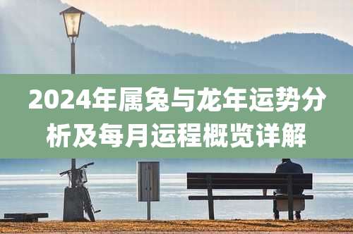 2024年属兔与龙年运势分析及每月运程概览详解