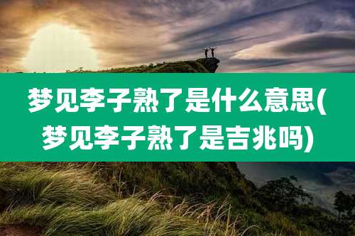 梦见李子熟了是什么意思(梦见李子熟了是吉兆吗)