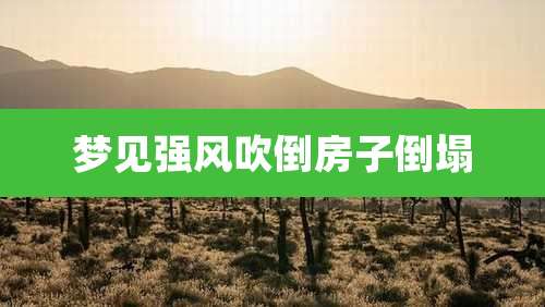 梦见强风吹倒房子倒塌