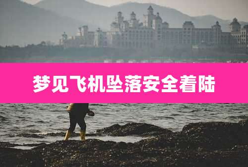 梦见飞机坠落安全着陆