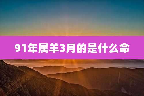 91年属羊3月的是什么命