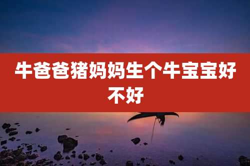 牛爸爸猪妈妈生个牛宝宝好不好
