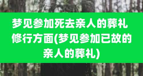 梦见参加死去亲人的葬礼 修行方面(梦见参加已故的亲人的葬礼)