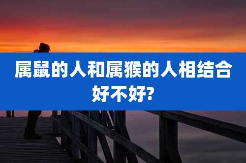 属鼠的人和属猴的人相结合好不好?