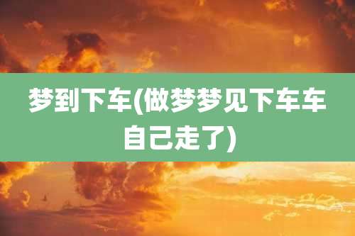 梦到下车(做梦梦见下车车自己走了)