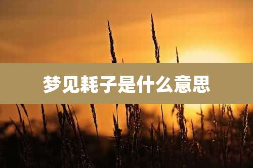 梦见耗子是什么意思