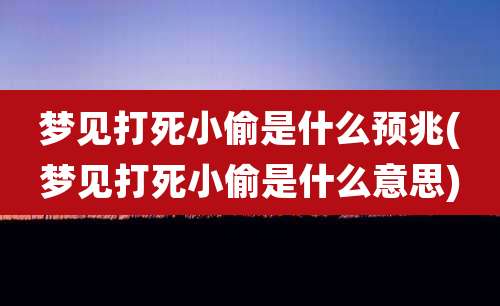 梦见打死小偷是什么预兆(梦见打死小偷是什么意思)