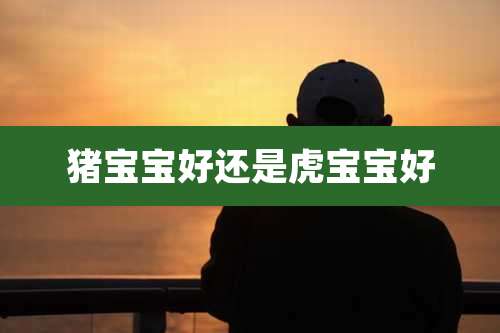 猪宝宝好还是虎宝宝好