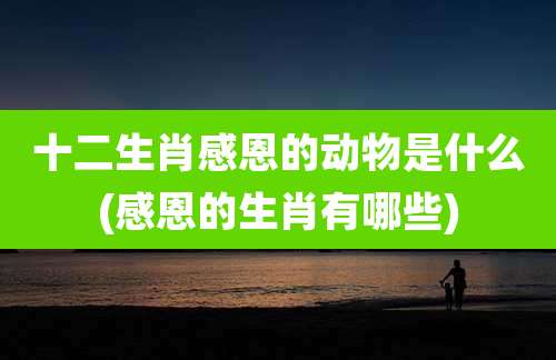 十二生肖感恩的动物是什么(感恩的生肖有哪些)