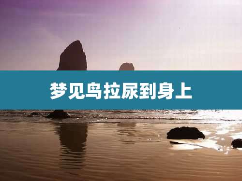 梦见鸟拉尿到身上