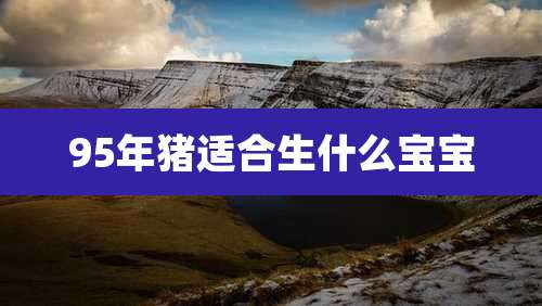 95年猪适合生什么宝宝