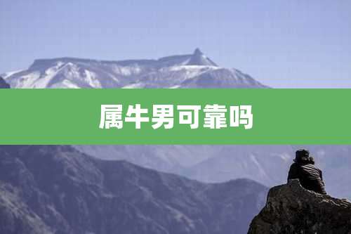 属牛男可靠吗
