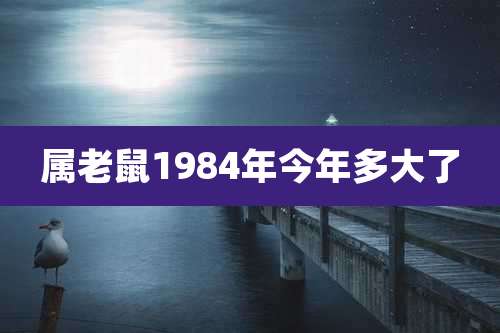 属老鼠1984年今年多大了