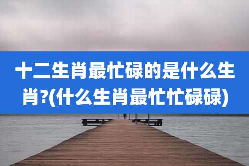 十二生肖最忙碌的是什么生肖?(什么生肖最忙忙碌碌)