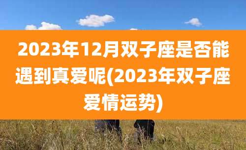 2023年12月双子座是否能遇到真爱呢(2023年双子座爱情运势)