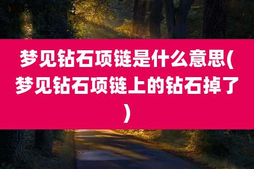 梦见钻石项链是什么意思(梦见钻石项链上的钻石掉了)