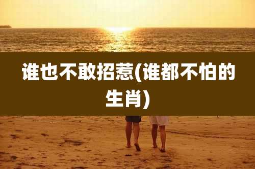 谁也不敢招惹(谁都不怕的生肖)