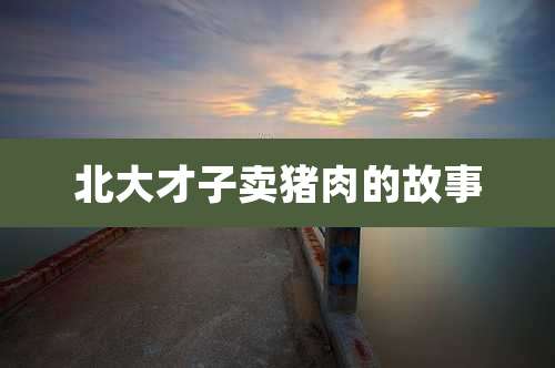 北大才子卖猪肉的故事