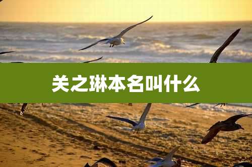 关之琳本名叫什么