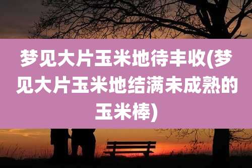 梦见大片玉米地待丰收(梦见大片玉米地结满未成熟的玉米棒)