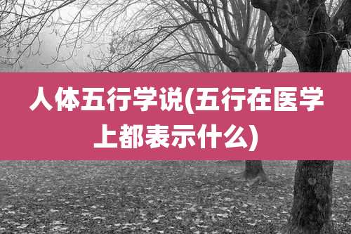 人体五行学说(五行在医学上都表示什么)