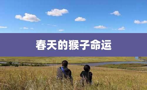 春天的猴子命运