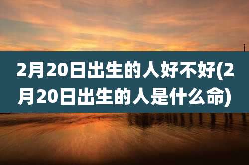 2月20日出生的人好不好(2月20日出生的人是什么命)