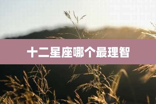 十二星座哪个最理智