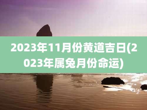 2023年11月份黄道吉日(2023年属兔月份命运)
