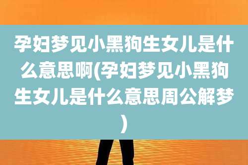 孕妇梦见小黑狗生女儿是什么意思啊(孕妇梦见小黑狗生女儿是什么意思周公解梦)