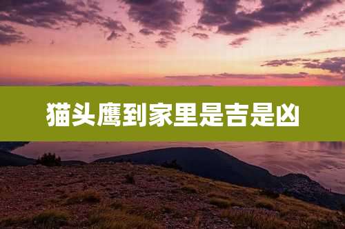 猫头鹰到家里是吉是凶