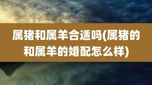 属猪和属羊合适吗(属猪的和属羊的婚配怎么样)