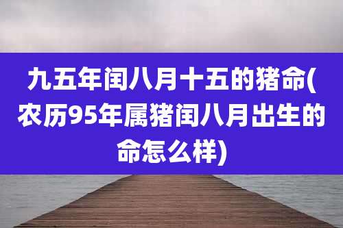 九五年闰八月十五的猪命(农历95年属猪闰八月出生的命怎么样)