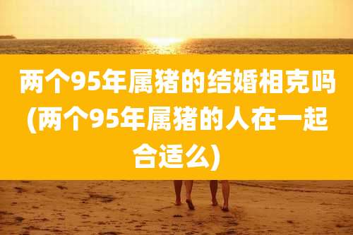 两个95年属猪的结婚相克吗(两个95年属猪的人在一起合适么)